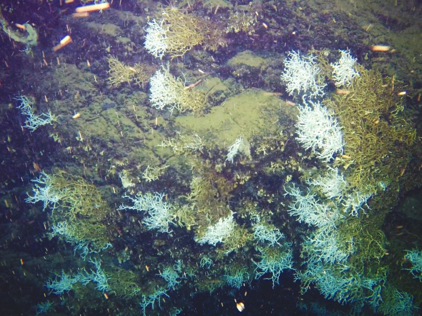 Governance and board work